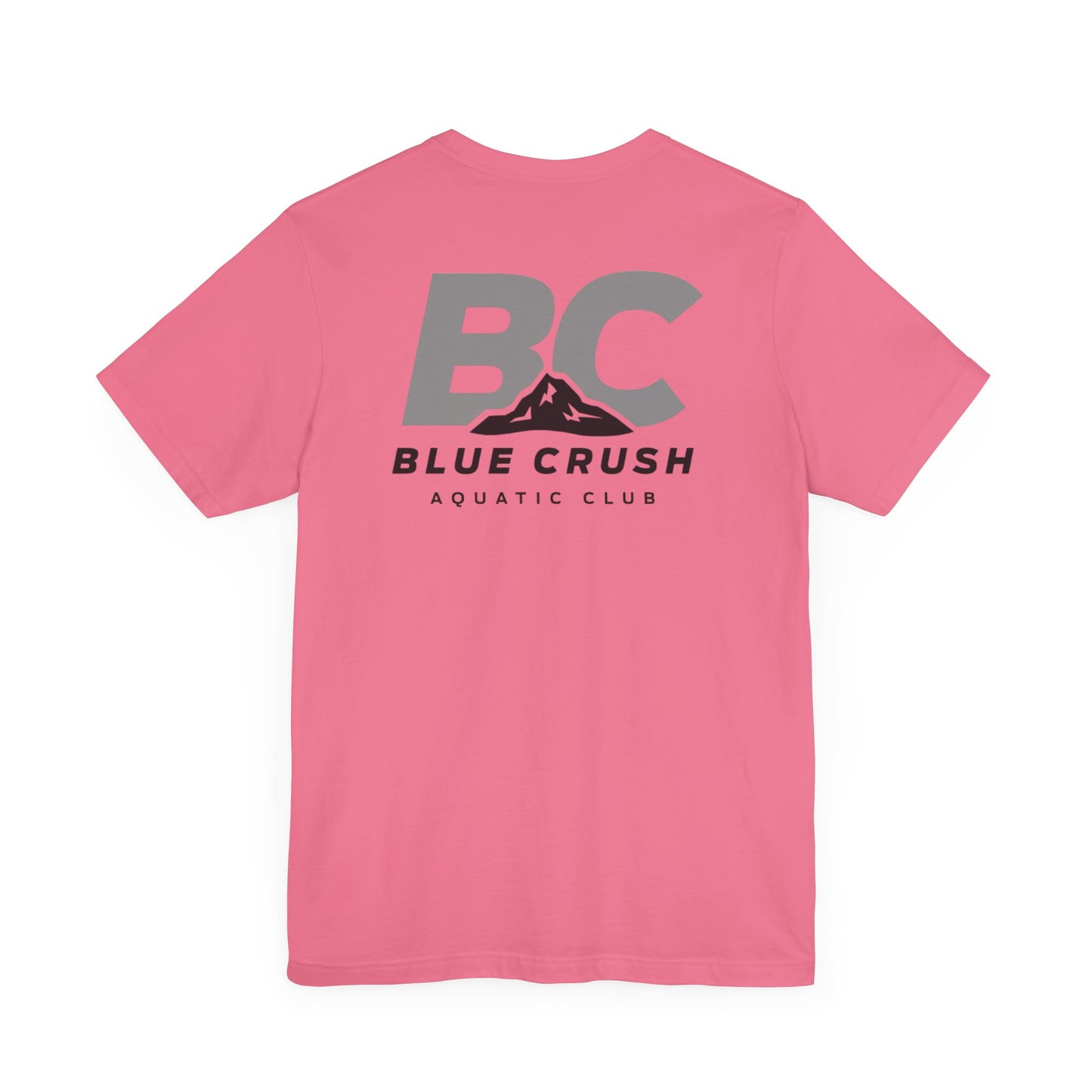 Blue Crush - Unisex Jersey Short Sleeve Tee - Gray logo